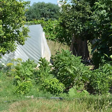 يافوزان 2* سيدي